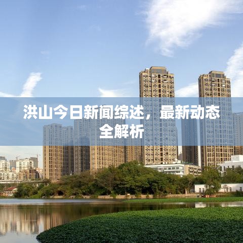 洪山今日新闻综述，最新动态全解析