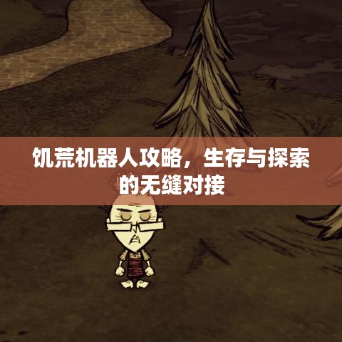 饥荒机器人攻略，生存与探索的无缝对接