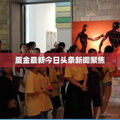 厦金最新今日头条新闻聚焦