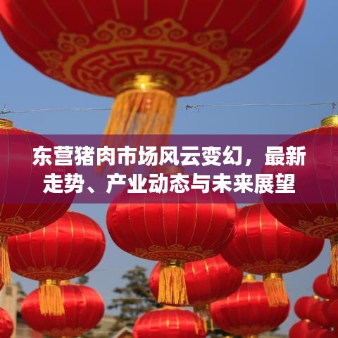 东营猪肉市场风云变幻,最新走势、产业动态与未来展望