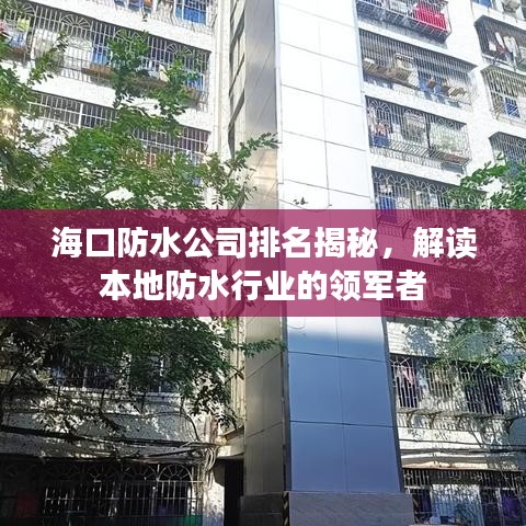 海口防水公司排名揭秘，解读本地防水行业的领军者