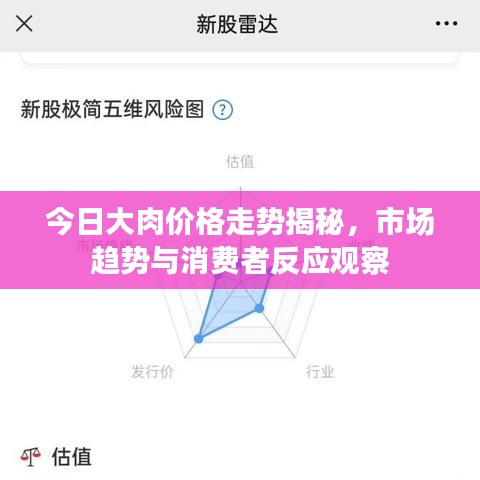 今日大肉价格走势揭秘，市场趋势与消费者反应观察