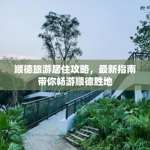 顺德旅游居住攻略，最新指南带你畅游顺德胜地