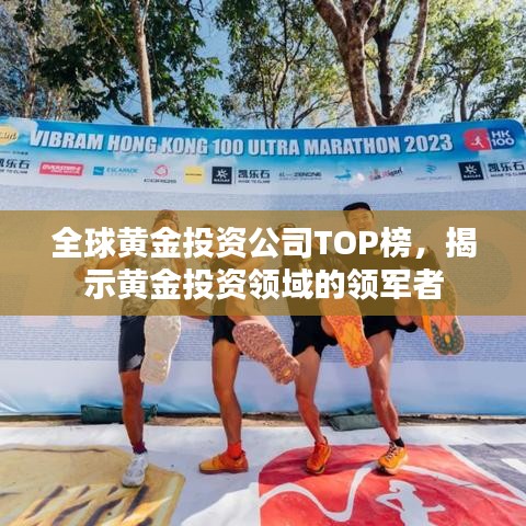 全球黄金投资公司TOP榜，揭示黄金投资领域的领军者