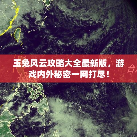 乌鸟之情 第9页