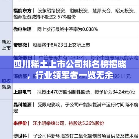 四川稀土上市公司排名榜揭晓，行业领军者一览无余