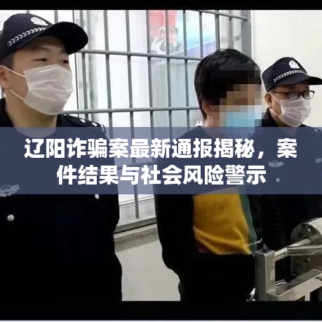 辽阳诈骗案最新通报揭秘，案件结果与社会风险警示