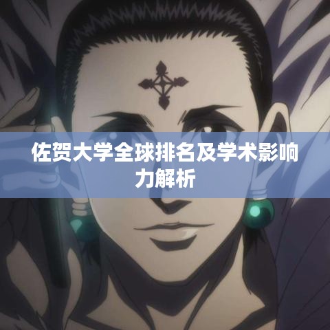 佐贺大学全球排名及学术影响力解析