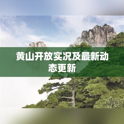 黄山开放实况及最新动态更新