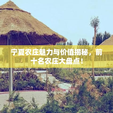 宁夏农庄魅力与价值揭秘，前十名农庄大盘点！