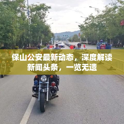 保山公安最新动态，深度解读新闻头条，一览无遗