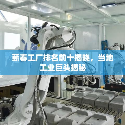 蕲春工厂排名前十揭晓，当地工业巨头揭秘