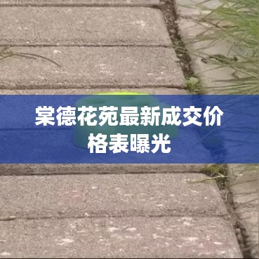 棠德花苑最新成交价格表曝光