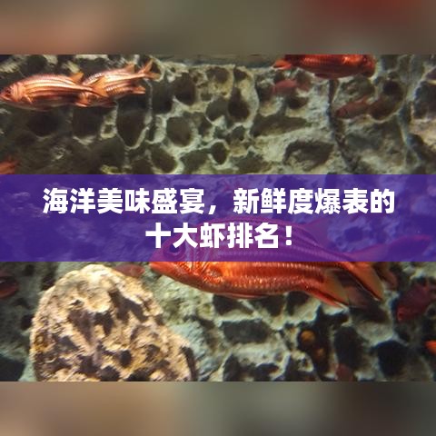 海洋美味盛宴，新鲜度爆表的十大虾排名！