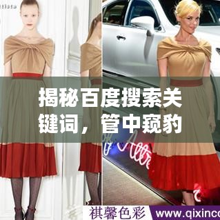 揭秘百度搜索关键词，管中窥豹解析攻略！