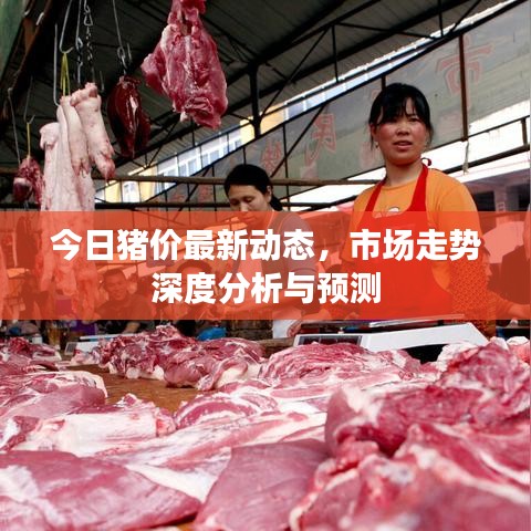 今日猪价最新动态，市场走势深度分析与预测