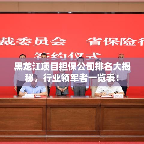 黑龙江项目担保公司排名大揭秘，行业领军者一览表！