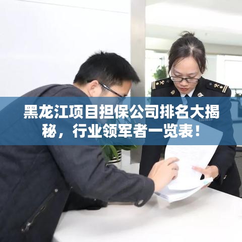 黑龙江项目担保公司排名大揭秘,行业领军者一览表!