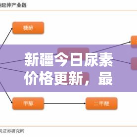 新疆今日尿素价格更新，最新消息今日行情分析