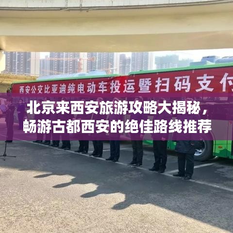 北京来西安旅游攻略大揭秘，畅游古都西安的绝佳路线推荐