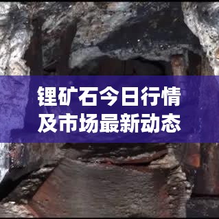 锂矿石今日行情及市场最新动态速递