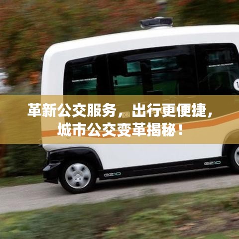 千载难逢 第10页