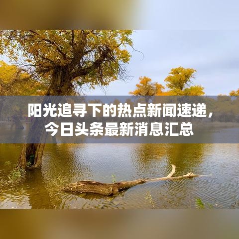 阳光追寻下的热点新闻速递,今日头条最新消息汇总