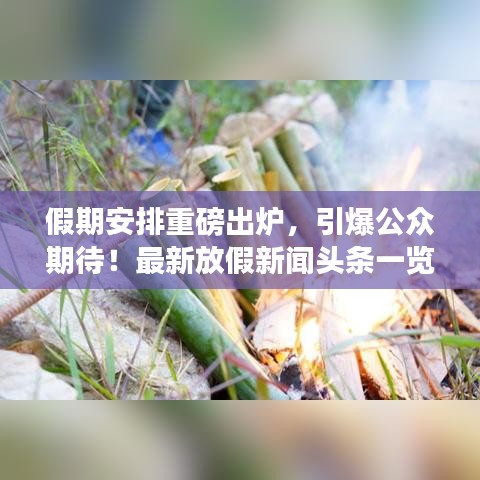 假期安排重磅出炉，引爆公众期待！最新放假新闻头条一览无余