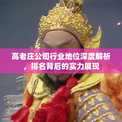 高老庄公司行业地位深度解析,排名背后的实力展现