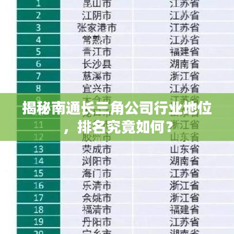 揭秘南通长三角公司行业地位,排名究竟如何?