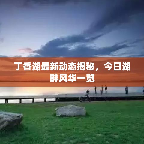 丁香湖最新动态揭秘,今日湖畔风华一览