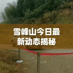 雪峰山今日最新动态揭秘