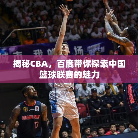 揭秘CBA，百度带你探索中国篮球联赛的魅力