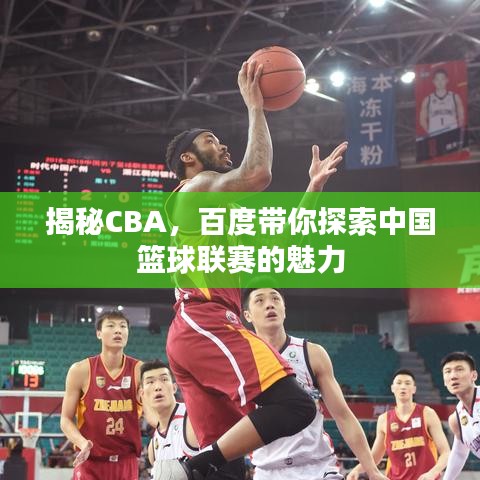 揭秘CBA,百度带你探索中国篮球联赛的魅力