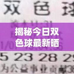 揭秘今日双色球最新晒单，彩票背后的秘密大揭秘！