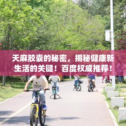 天麻胶囊的秘密,揭秘健康新生活的关键!百度权威推荐!