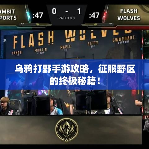 乌鸦打野手游攻略，征服野区的终极秘籍！