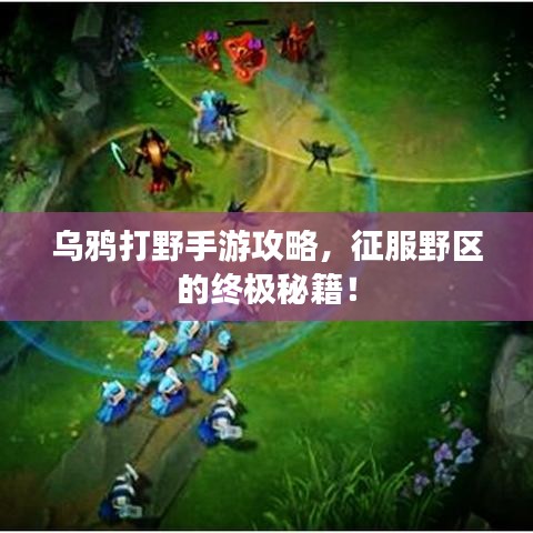 乌鸦打野手游攻略,征服野区的终极秘籍!