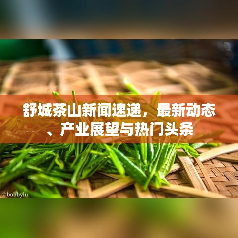 舒城茶山新闻速递，最新动态、产业展望与热门头条