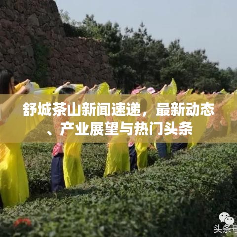 舒城茶山新闻速递,最新动态、产业展望与热门头条