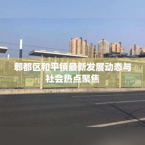 郫都区和平镇最新发展动态与社会热点聚焦
