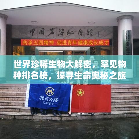 世界珍稀生物大解密，罕见物种排名榜，探寻生命奥秘之旅