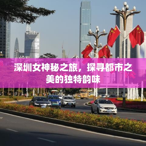 深圳女神秘之旅,探寻都市之美的独特韵味