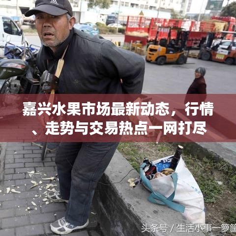 嘉兴水果市场最新动态，行情、走势与交易热点一网打尽