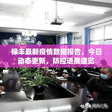 禄丰最新疫情数据报告，今日动态更新，防控进展速览