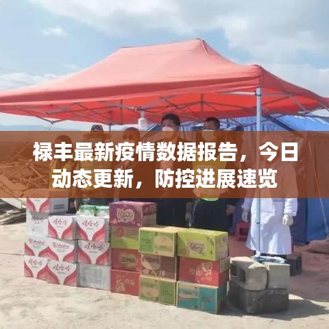 禄丰最新疫情数据报告,今日动态更新,防控进展速览