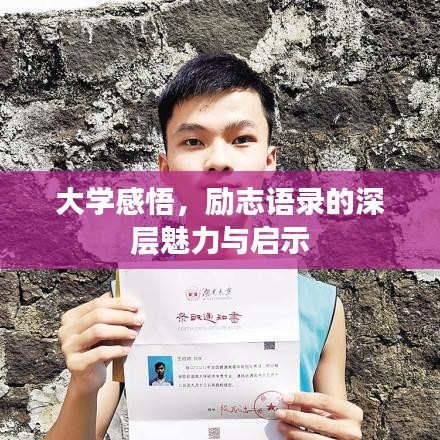 大学感悟，励志语录的深层魅力与启示