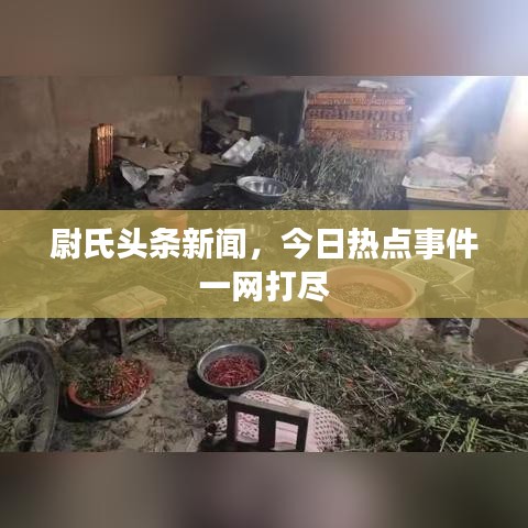 尉氏头条新闻,今日热点事件一网打尽