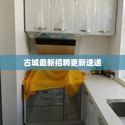 古城最新招聘更新速递
