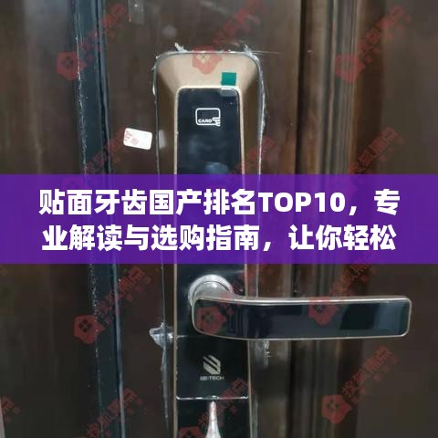 贴面牙齿国产排名TOP10，专业解读与选购指南，让你轻松挑选优质产品！